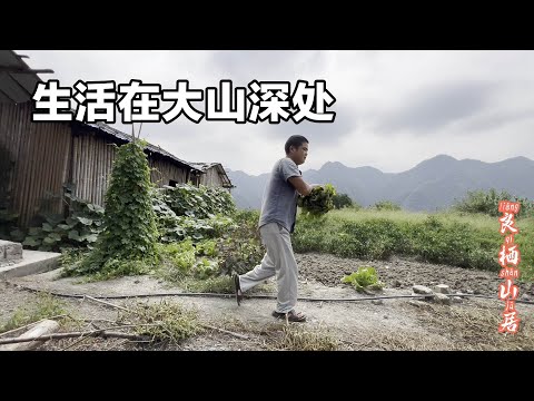 生活在大山深处，为了节约成本，小伙挑石头的桶都快烂了 #记录农村生活大山里的生活