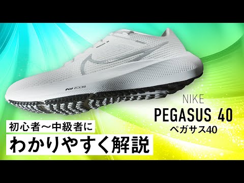 【さすがベストセラー】ペガサス40のレビュー