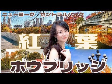 秋のニューヨーク　セントラルパークの装飾鉄橋　　紅葉と景観が美しい場所　ボウ・ブリッジ　チェリーヒル　象徴的で一番人気のあるロマンチックな秋の風景　ニューヨーク映画の舞台