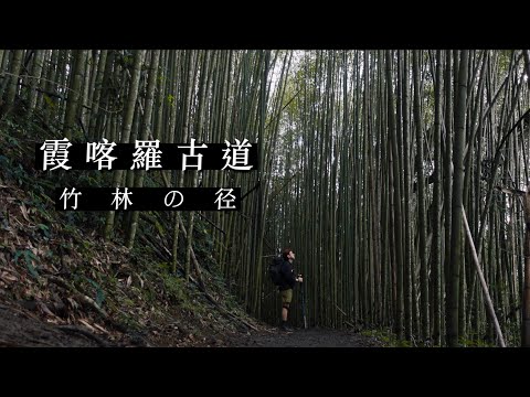 【霞喀羅古道】台灣版竹林小徑 | 養老登山口 | 白石吊橋 | 輕量化登山 | Yamatomichi mini  JUMP NBJ & Sherry Ep.131