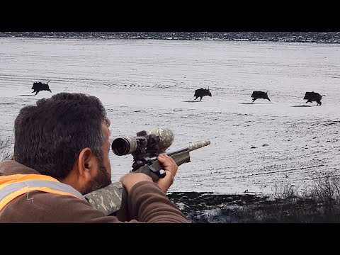 TOP WINTER HUNTING ADVENTURES - EN İYİ KIŞ DOMUZ AVI MACERALARI