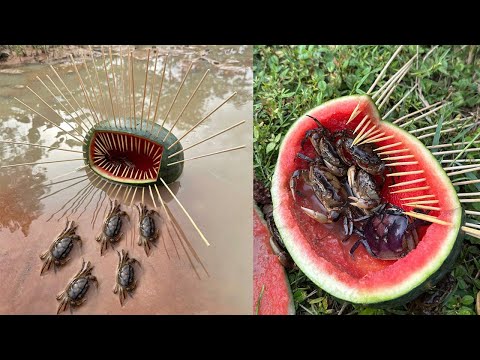 Survival Skills: single mom with watermelon Crabs🦀🦀trap #camping #outdoors #useful #bushcraft