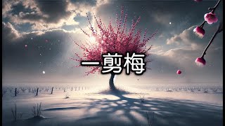 费玉清 -【一剪梅】 | 雪花飘飘北风萧萧 天地一片苍茫