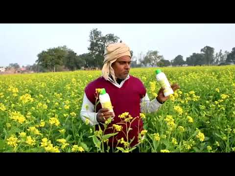 091 Farmer from Lucknow | Uttar Pradesh | Nano Urea Testimonial