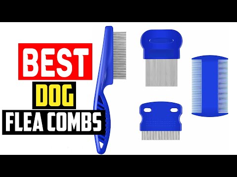 ✅Top 5 Best Dog Flea Combs in 2024