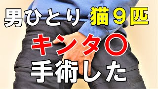 【傷跡画像あり】孤独な男　股間に粉瘤ができました【男ひとり猫９匹】