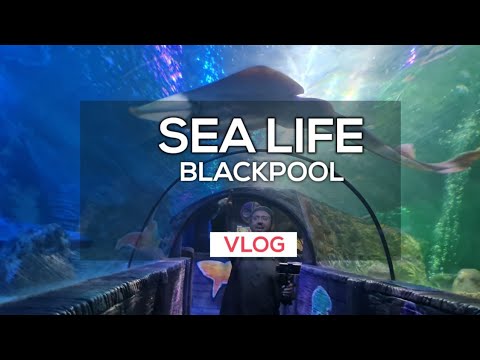 SEA LIFE in Blackpool #sealife #sealifeaquarium