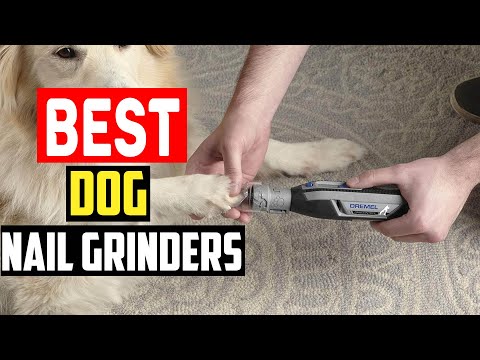 ✅Top 5 Best Dog Nail Grinders for Quick, Painless Trims in 2024