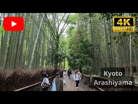 Walking In Kyoto's most Popular Tourist Spot : Arashiyama 2023  [4K]