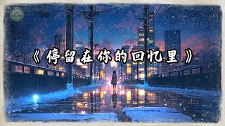 原创歌曲 : 停留在你的回忆里 | 好听的中文音乐歌曲 | 动态歌词 | Lyrics Video