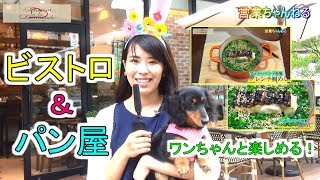 オシャレなビストロ ペット同伴可能なテラス席有【Bistrot a la Demande ビストロアラドゥマンド】東京都港区 田町駅近く