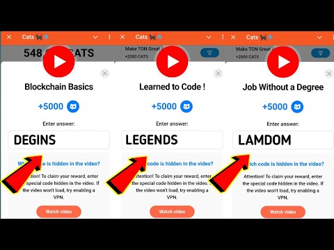 Blockchain Basics | Learned to Code! Job Without a Degree | 5-6 December Cats All Video Codes Today