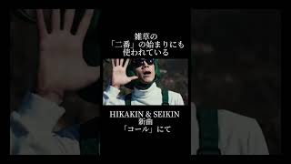 HIKAKIN & SEIKIN 新曲「コール」に隠された秘密part4 雑草編　#コール