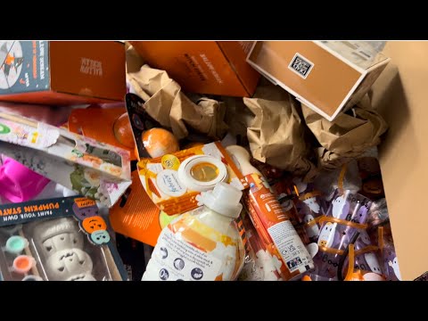 HOME BARGAINS HAUL | HALLOWEEN HAUL | MY TAKE OF A BOO BASKET | NEW MRS HINCH RANGE vlogtober day 11