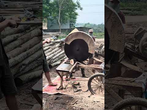 Wood cutting #wood #woodworking #shortvideo #woodshop #woodcarving