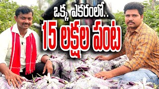 ఒకే ఎకరంలో 15 లక్షల పంట పండించాను | Brinjal Farming