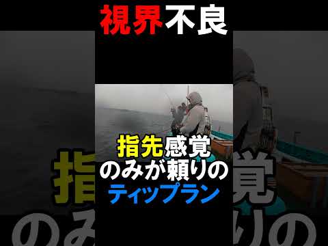 視界不良ティップラン #アオリイカ #ティップラン #葉山沖 #鶴丸 #fishing