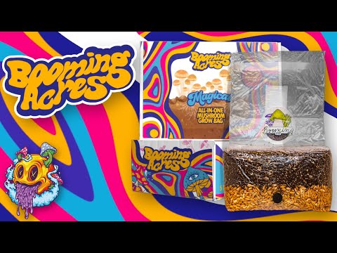 Booming Acres All In One & Grain Bags | Booming Acres S1 EP1