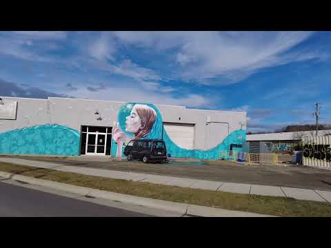 Tony Nguyen: Art District NC