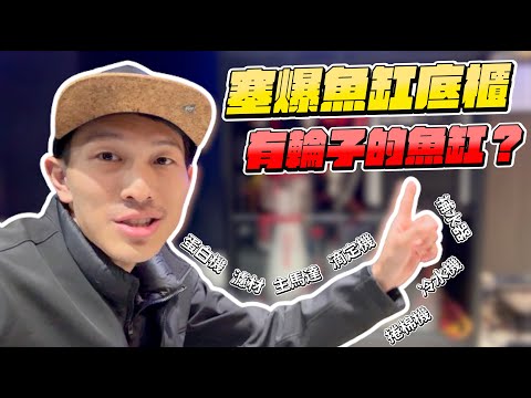 【藍箱水族】有輪子的珊瑚缸！滿滿紅海控制設備+冷水機塞爆魚缸底櫃！魚缸底櫃規劃設計 #紅海缸 #redseareefer