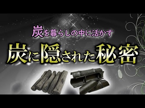 【浄化】炭には古くからの知恵が詰め込まれている｜黒い開運アイテム【竹炭】