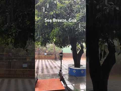 Sea Breeze Airbnb | South Goa #travel