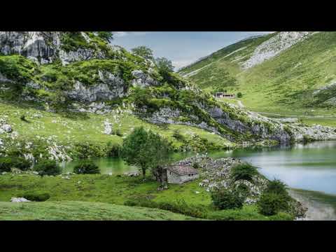 Relaxing & meditation Music Live Stream