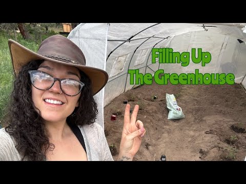 Transplanting Tomatoes, Squash and Watermelon in Our New Greenhouse | Colorado Homestead Life