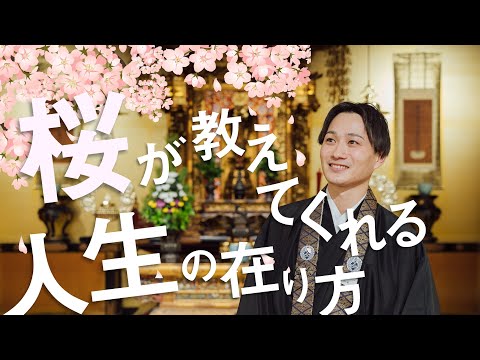 お坊さんのひとくち法話「桜が教えてくれる人生の在り方」