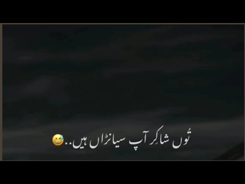 Urdu Poetry ||Urdu Shayari Urdu Bewafa Poetry ||Shaker Poetry Status👌||tu shaker aap syana ay❤||sad💔