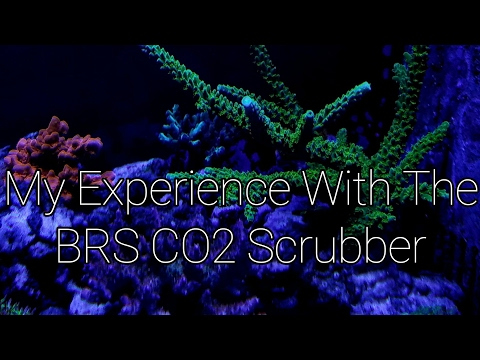 My Experience with the BRS Co2 Scrubber