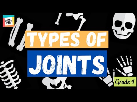 TYPES OF JOINTS | SCIENCE | GRADE 4 | The Study Pod