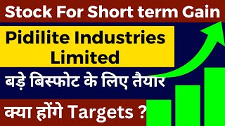 Pidilite Share latest News | Pidilite Share Analysis | Pidilite Share News | Pidilite Share Target