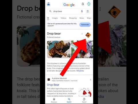 Google Easter Egg | Drop Bear Google Easter Egg | Drop Bear Google | 2024