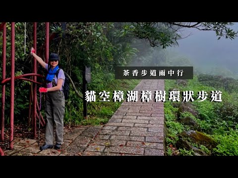 茶香步道雨中行｜貓空樟湖樟樹環狀步道｜石獅腳步道｜cakethree三個蛋糕