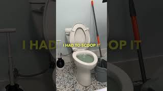 Overflowing Toilet Nightmare: What Not to Do on a Friday