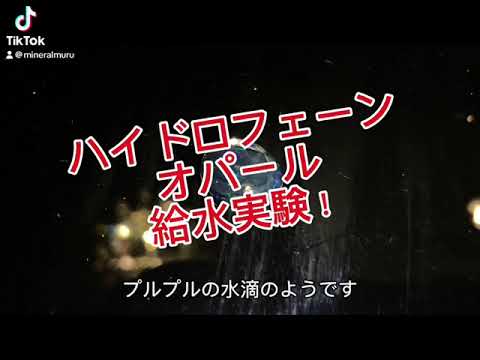 オパールは本当に水を吸うのか！？