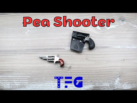 Don't Carry this Pea Shooter - TheFirearmGuy