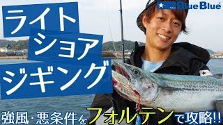 ショアジギングでサゴシ連発！強風下でも使用しやすいジグを紹介！！