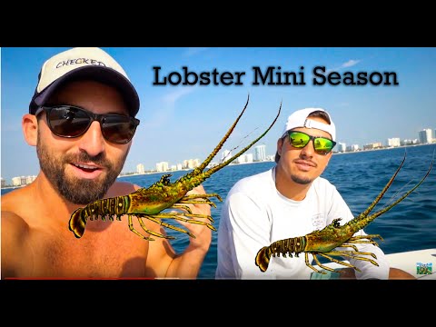 Lobster Mini Season 2019