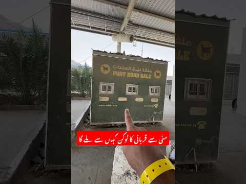 Where to get Qurbani token in mina during hajj #usmantahirjappa #hajjmemories #umaisavlogs