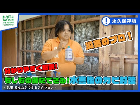 【解説】もしもあなたの家が水害に遭ったら・・「誰でもできる水害後のカビ対策」【災害】