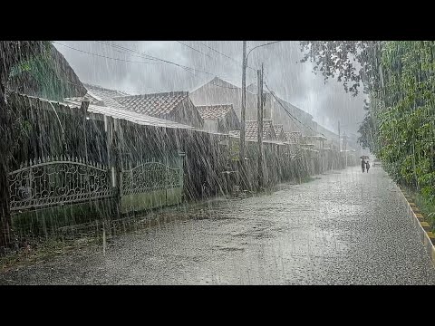 Super heavy rain and strong winds in my village |  Sleep instantly with the sound of heavy rain