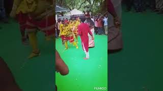 Bonalu festival || at Collecterate || Nizamabad #bonalu #nizamabad