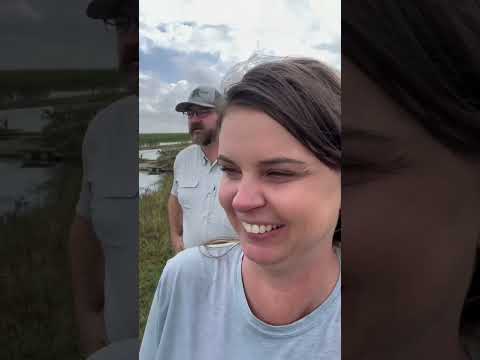 Swamp puppies everywhere! #alligator #swamplife #coastal #farming #farm #gators