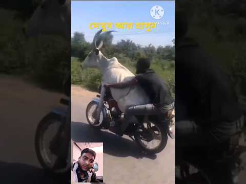 fun unlimited 🤪😂🥰😃🤑~অবশেষে কি হলো | #shorts #funnyvideo #fununlimited.