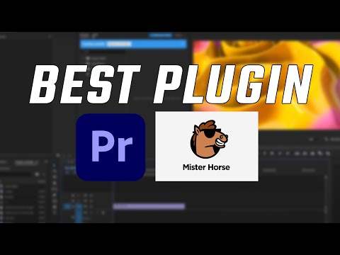 The Best Plugin for Premiere Pro this Year!