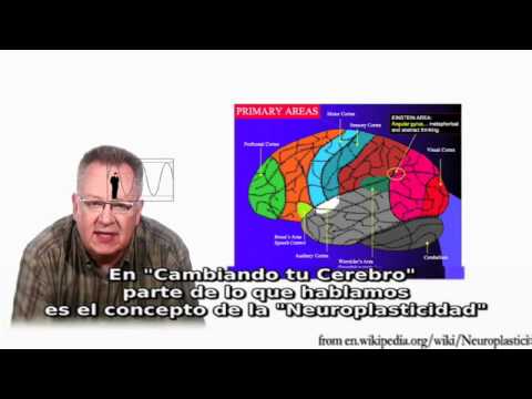 Cambiando tu Cerebro - Changing Your Brain