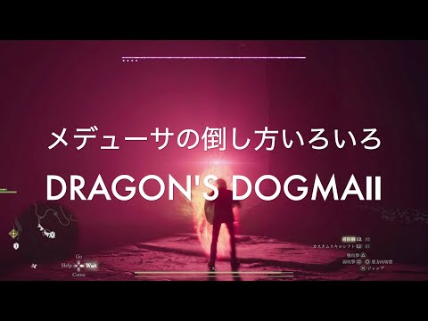 メデューサ倒し方いろいろ【DRAGON'S DOGMA2 PS5】