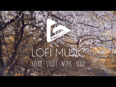 Ronincloud - Grey - Lofi Ambient Music (Relax/Study/Work/Sleep) (4K)